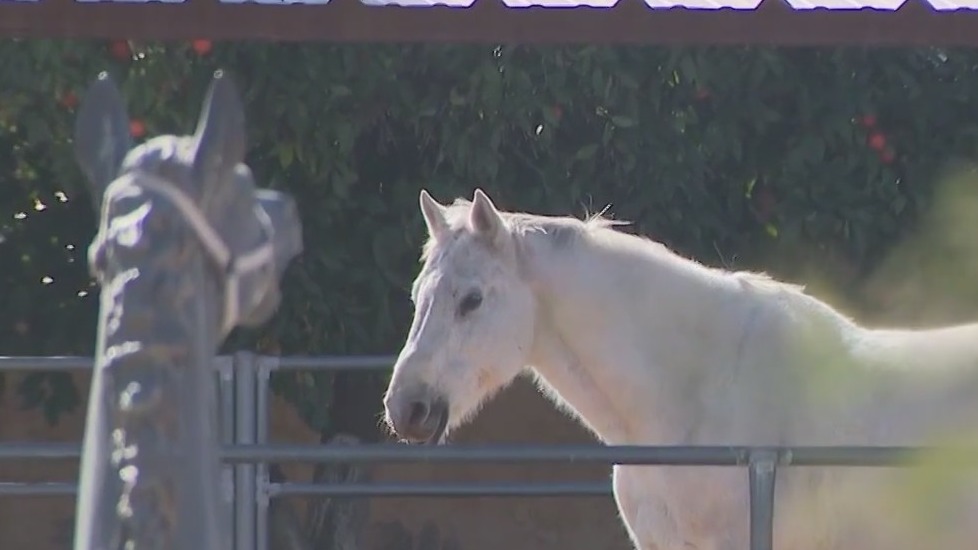 Hunkapi equine therapy for first responders ending